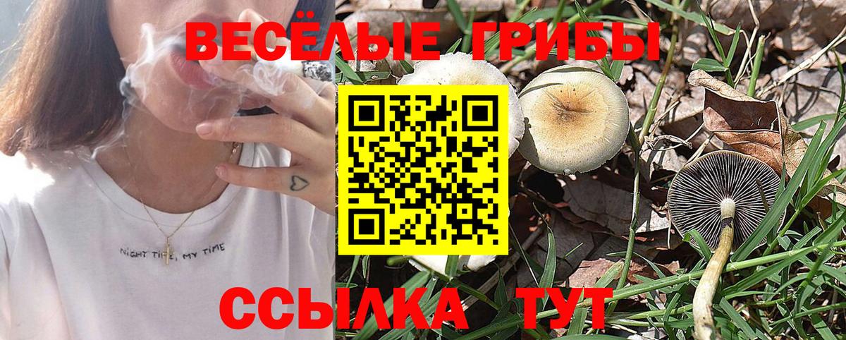 Павловский Посад  Псилоцибиновые грибы мицелий  наркота  Вход с VPN 